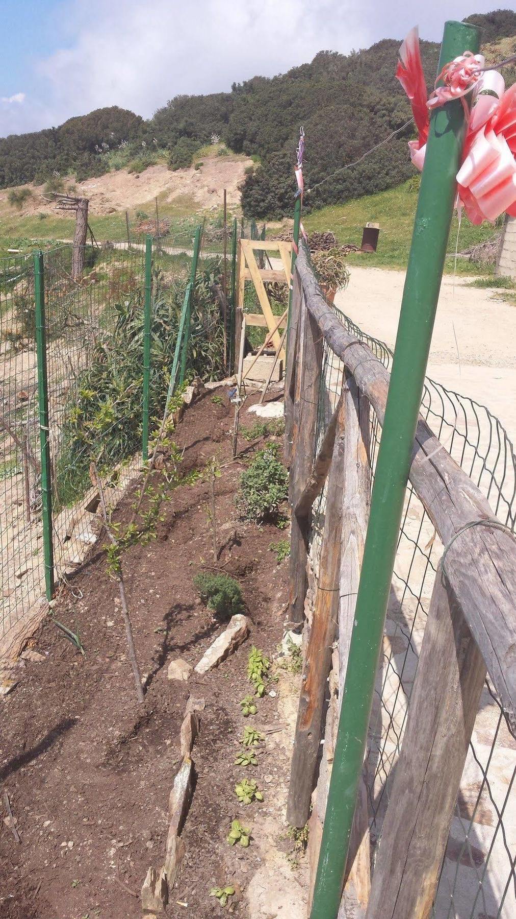 Вилла L'Aquila Арбус Экстерьер фото